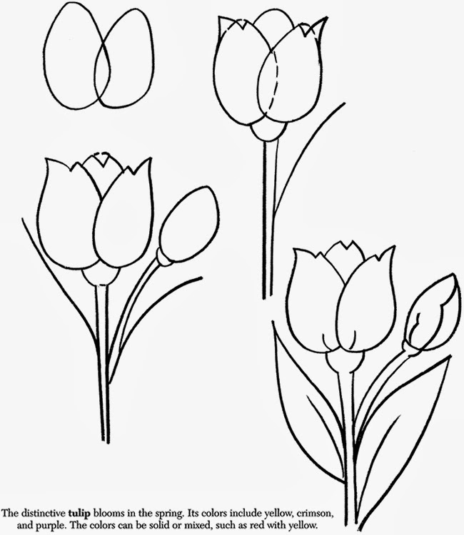 Tulipes: modèles de coupe en papier