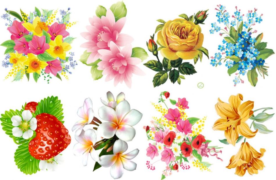 Загадки про домашние комнатные цветы для детей