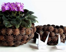 How to make a basket of pine cones: step-by-step instructions, photos, master class. How to make a basket of spruce bumps?