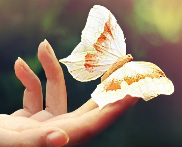 Бабочки улетают на смену любви