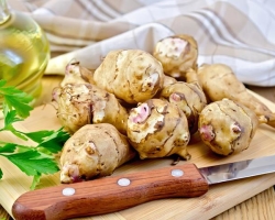 When to dig Jerusalem artichoke and how to store Jerusalem artichoke in winter at home?