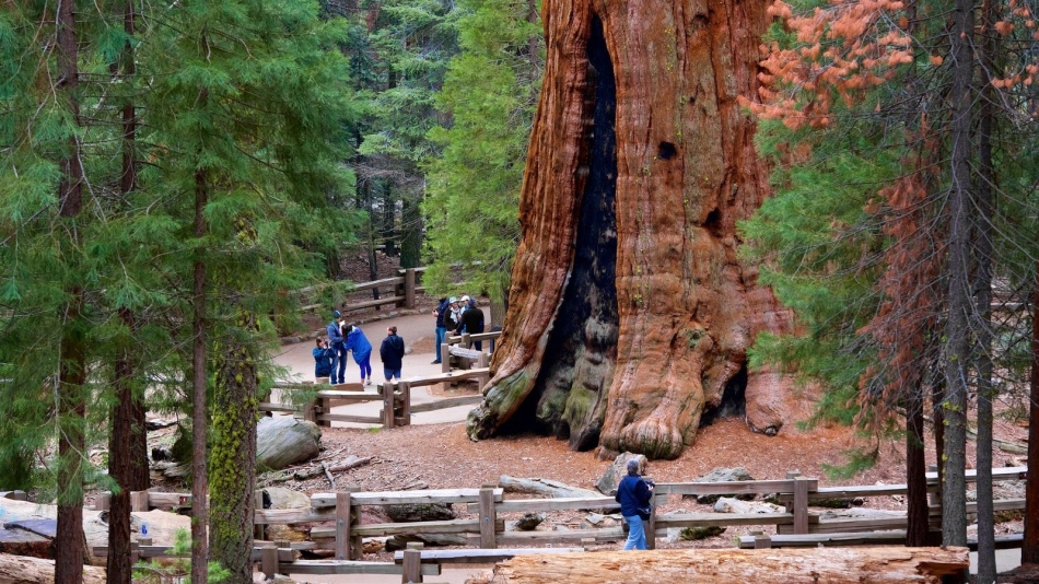 Obrovský