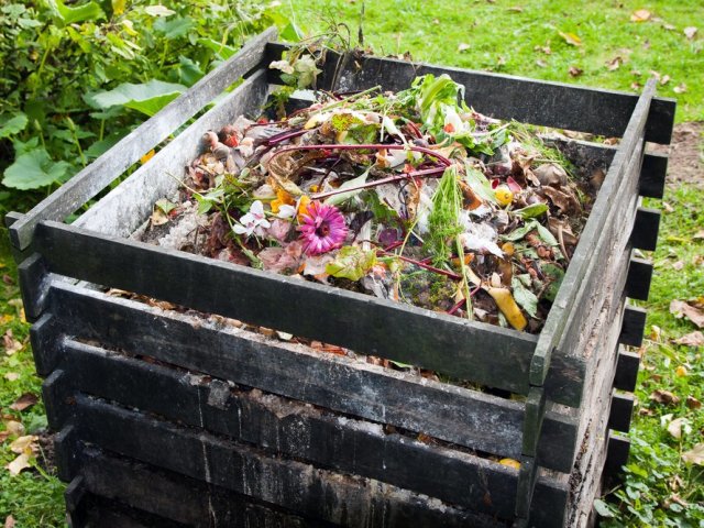 Kako narediti kompost s svojimi rokami? Kako uporabiti plevel po plevelu?