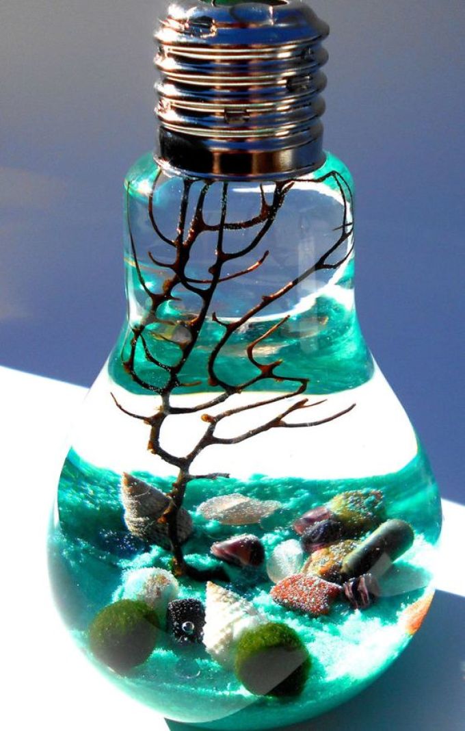 Террариум из лампочки в морском стиле