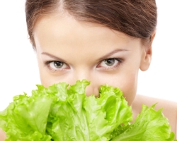 Zöld levél saláta télen: receptek. Hogyan lehet megtakarítani egy levélsalátát és egy friss croasztot a télre? Lehetséges, és hogyan lehet fagyasztani a zöld saláta leveleit és a téli croak -t? Lehet -e szárítani a téli levél salátát?