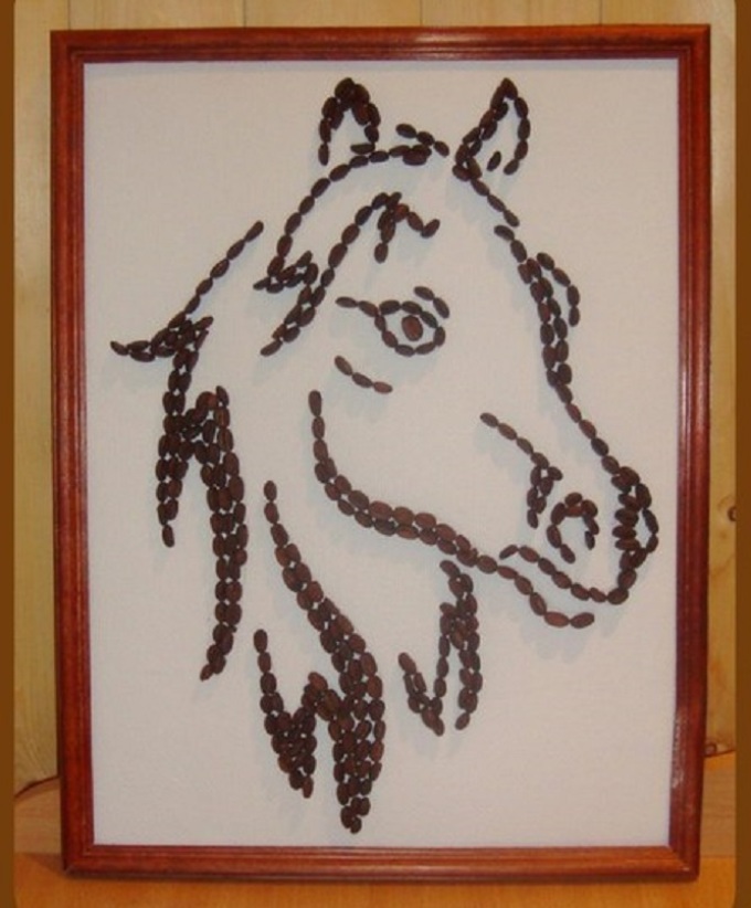 Kavna zrna slika konj
