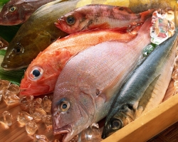 What sea fish is the most useful for human health: names, brief description