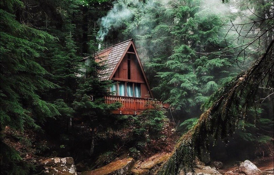 A forest house in a dream is a symbol of secrets, secrets.