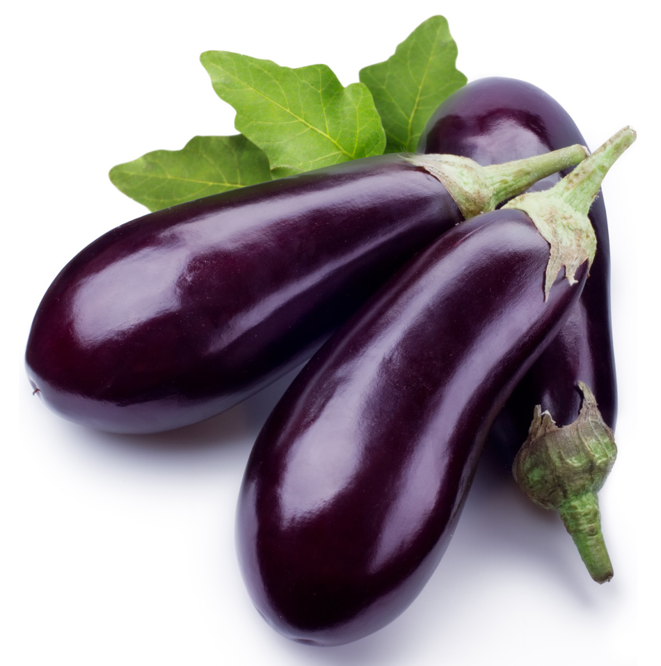 How to save the eggplant fresh for the winter?