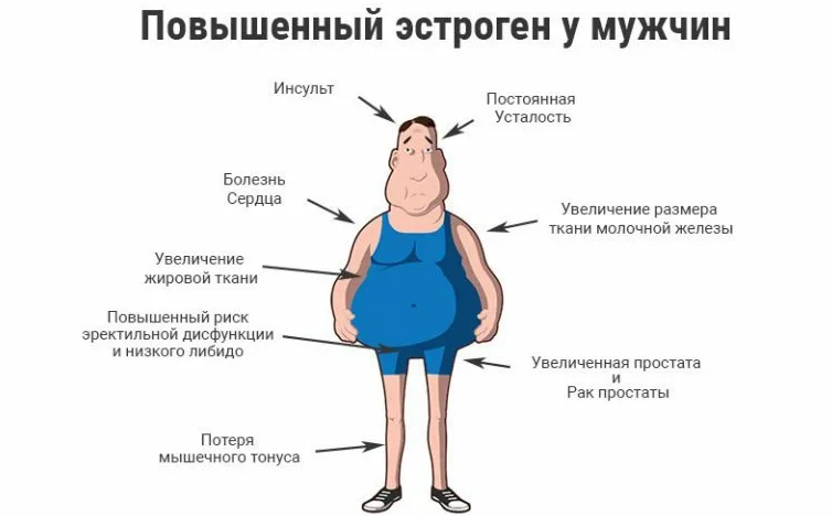 ฮอร์โมนของผู้หญิงในร่างกายในผู้ชาย