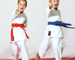 What is the difference between judo and sambo: comparison. Which is better for self -defense, stronger, more practical for training: sambo or judo? What to choose for a child: sambo or judo: tips