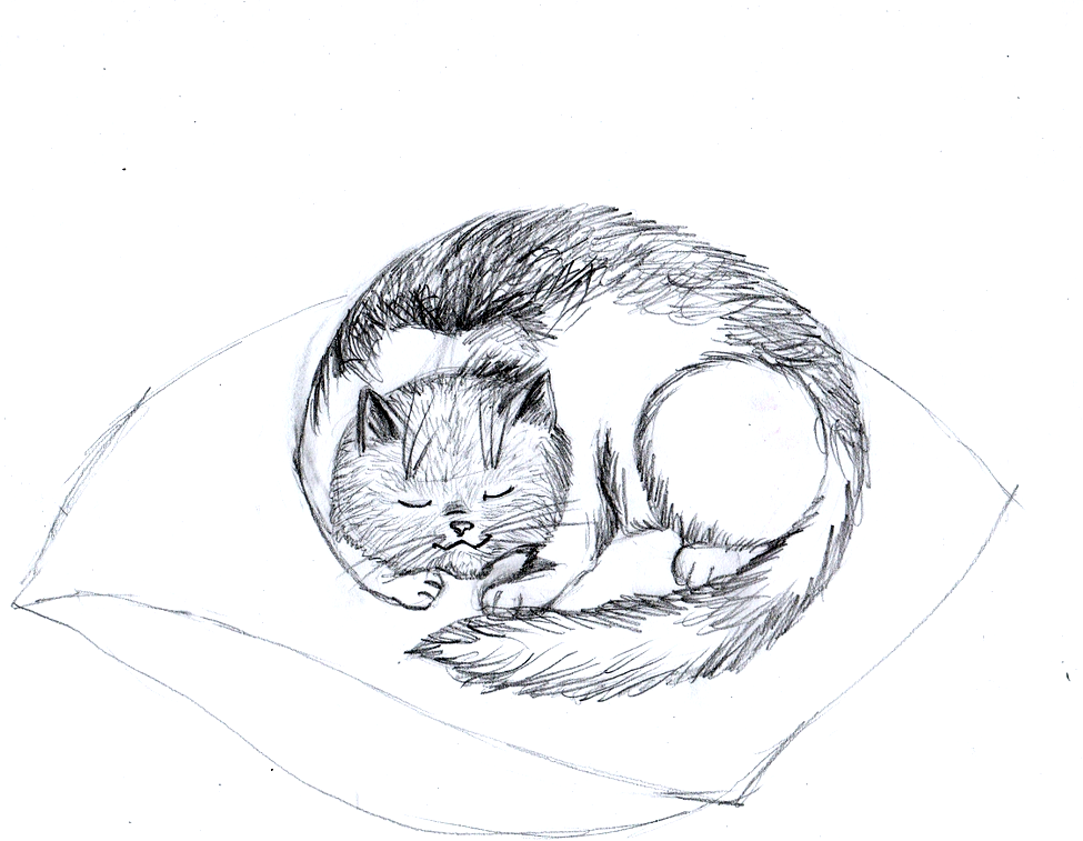 Как нарисовать красиво лежащую кошку