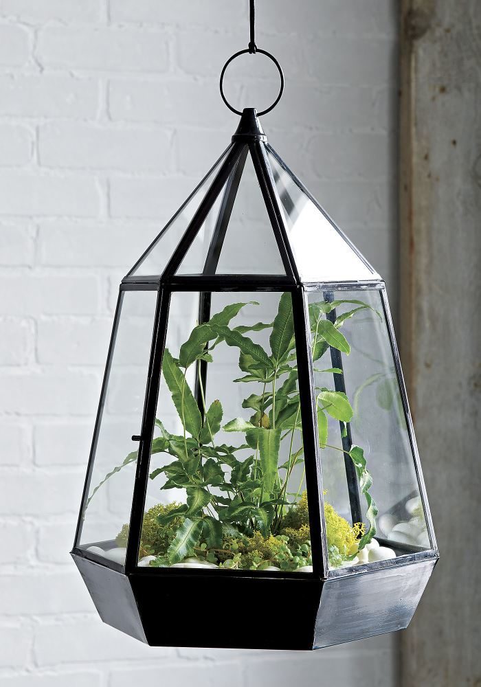 Suspended glass pot
