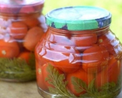 Ντομάτες με κορυφές καρότων: η καλύτερη συνταγή βήμα -βήμα με λεπτομερή συστατικά