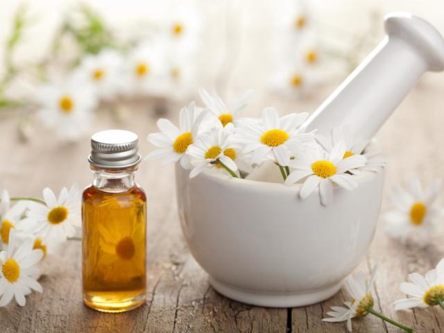 Apa itu minyak chamomile rambut dan bagaimana menggunakannya? Sifat menguntungkan apa yang dimiliki oli chamomile dan bagaimana menggunakannya?