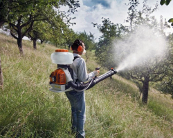 Karbofos: Anweisungen für die Verwendung im Garten im Frühjahr