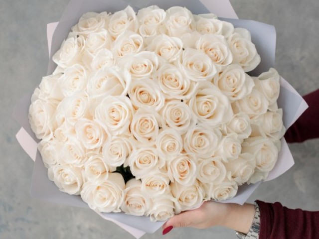 ¿Qué significan las rosas blancas como regalo para una niña: cuando dan y cuándo es imposible? El valor de las rosas blancas en el idioma de las flores