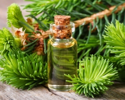 Coniferous oil. Essential oils of pine, cedar and spruce: properties and use at home