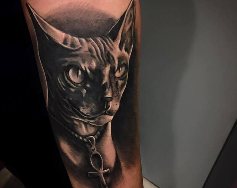 Black and white tattoo cat-spinx
