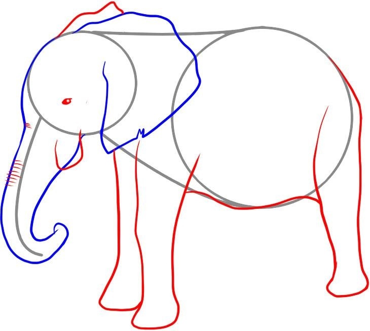 Kako narisati slona s svinčnikom: risanje spodnjega dela telesa.