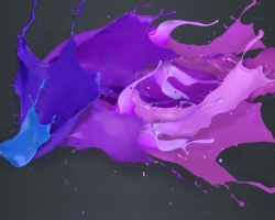 Dari lilac, warna ungu berbeda dari ungu: perbandingan, kesamaan dan perbedaan
