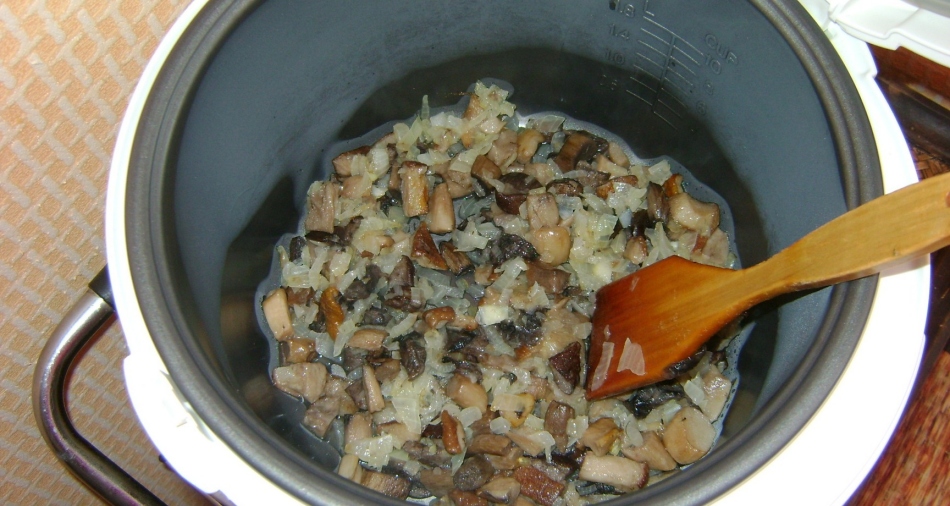 Les plats de champignons dans le multivarck sont alimentaires.