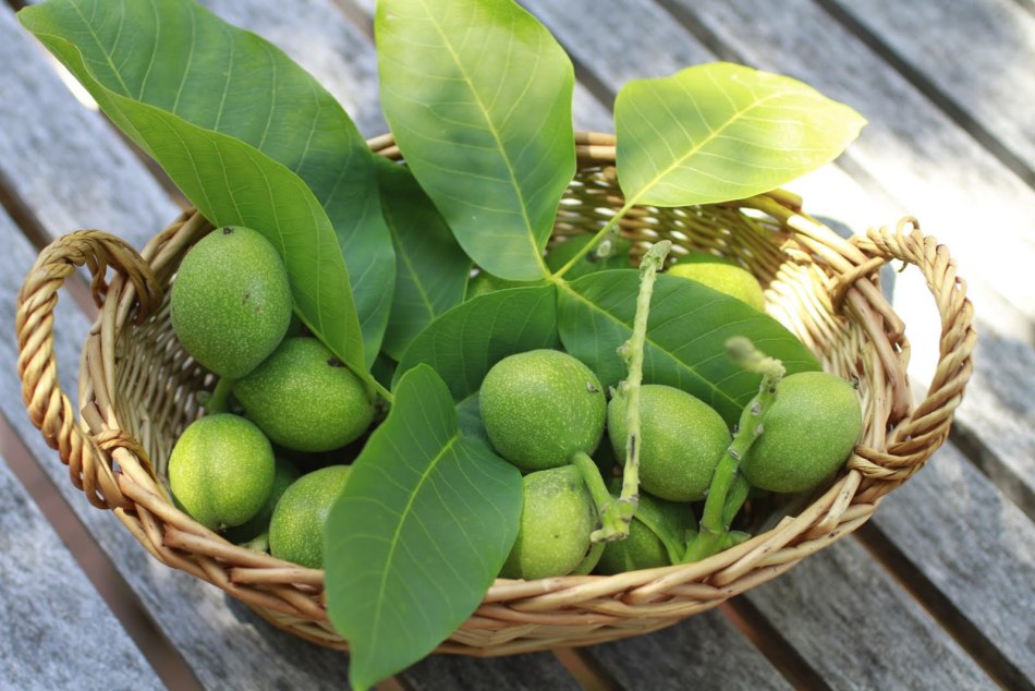 V zelenih orehih je veliko vitamina C.