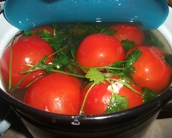 Cara garam tomat dalam wajan dengan air dingin: 2 langkah terbaik -dengan resep dengan bahan rinci