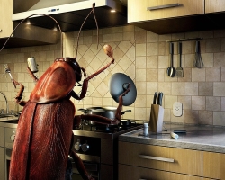 How to get rid of cockroaches in the apartment once and for all: drugs and folk remedies for cockroaches. How to buy poison, reputational devices, traps and effective means from cockroaches in the Aliexpress online store: price, catalog