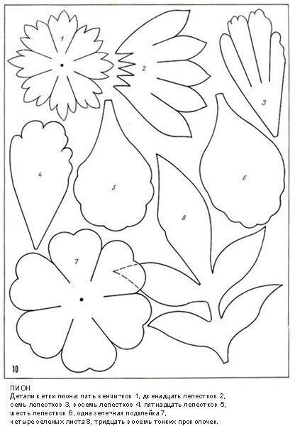 Flower stencil - peony template