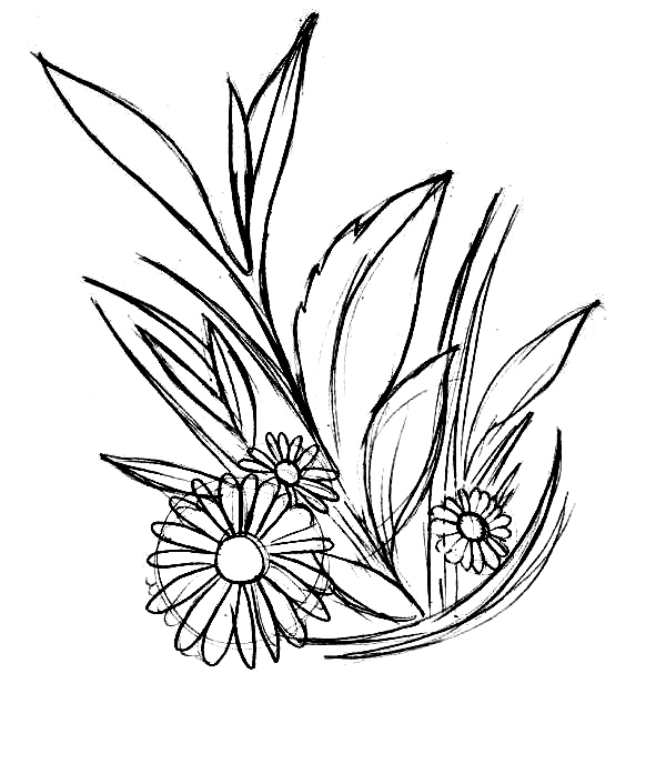 Chamomile dalam karangan bunga