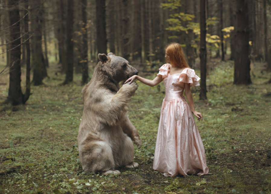 Pour une fille célibataire de voir un ours dans un rêve - à un mariage rapide