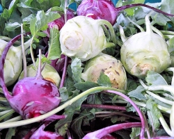 Cabbage Cabou: Variétés, graines de croissance et partant sur le terrain ouvert