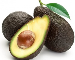 Avocado Haas: อะไรคือสิ่งที่แตกต่างจากคำอธิบายความหลากหลายของความหลากหลายลักษณะสำคัญ