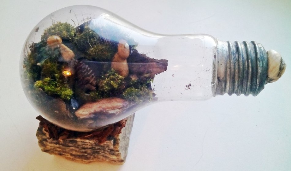 مخروط ها ، پوست - محیط عالی برای terrarium در یک لامپ