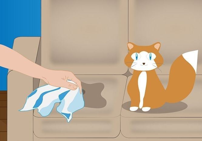 Если кот пописал на диван, не нужно его ругать. поможет