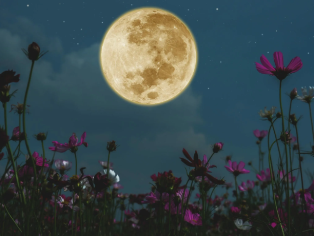 Signs and superstitions on the full moon: what is needed and what cannot be done? Sign: What can I ask the full moon?