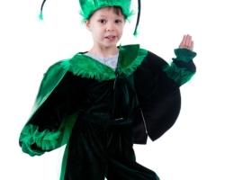 Carnival costume firefly for a boy