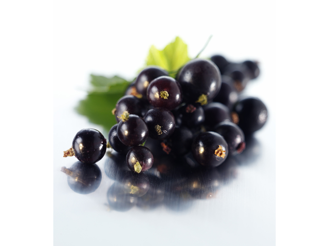 Drying blackcurrant in an electric dryer, oven, microwave, in the sun, in the air group? When to collect and how to dry the leaves of black currant for tea?