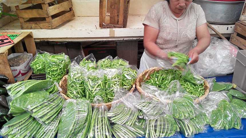 Женщина в мексике продает кактусы, предназначенные для еды