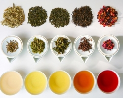 Можно ли пить чай на ночь — зеленый, черный, ромашковый, мятный, имбирный, гречишный