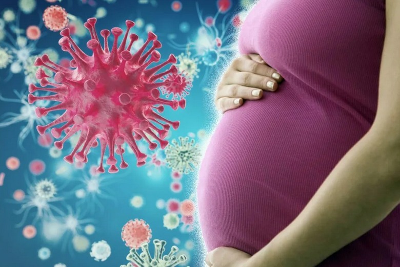 การตั้งครรภ์ในเงื่อนไขของโรคระบาด covid-19