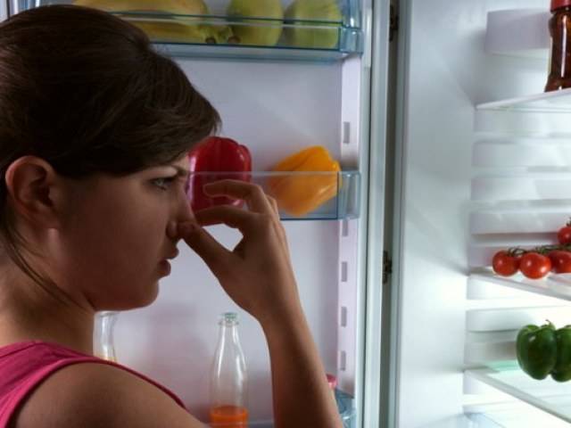 Запах в холодильнике. Как убрать неприятный запах из холодильника? Поглотители запаха для холодильника