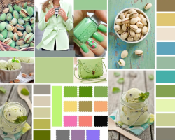 Comment obtenir la couleur de la pistache lors du mélange de peintures à la maison: Description, fonctionnalités. Comment la pistache est-elle combinée avec d'autres couleurs?