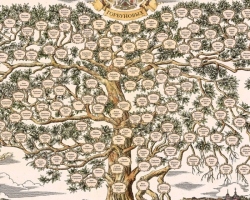 Albero genealogico - Come trovare le loro radici stesse: suggerimenti sulla ricerca negli archivi, come fare richieste, dove trovare libri della chiesa e altre fonti