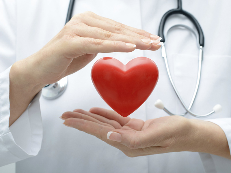 Los medicamentos basados \u200b\u200ben la posición le permiten curar muchas enfermedades del sistema cardiovascular