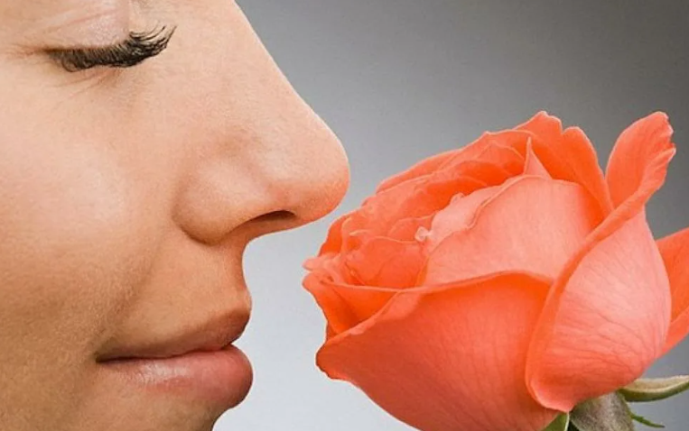 Запахи влияют на психику, психическое состояние человека
