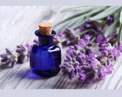 Lavendel-, Zimt-, Zitrone- und 10+ aromatische Öle, die Ihr Leben zum Besseren verändern: Mischungen, Zeichen, magischer Einfluss der Aromen der Liebe