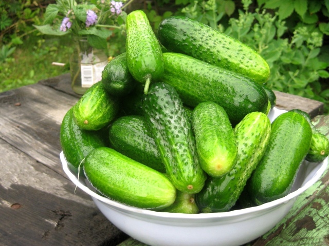 Cucumbers for Greenhouse et Open Ground: les meilleures variétés populaires pour la région de Moscou, Sibérie. Comment acheter des graines de concombres auto-pollinisés pour les serres et le sol ouvert dans la boutique en ligne AliExpress?