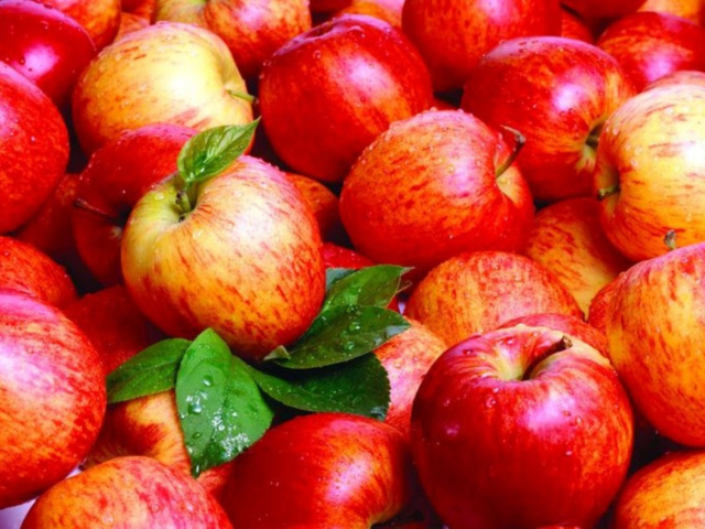 Az alma megfagyott az erkélyen: Lehet -e fagyasztott almát enni? Hogyan használhatja a Frostbitten almát?